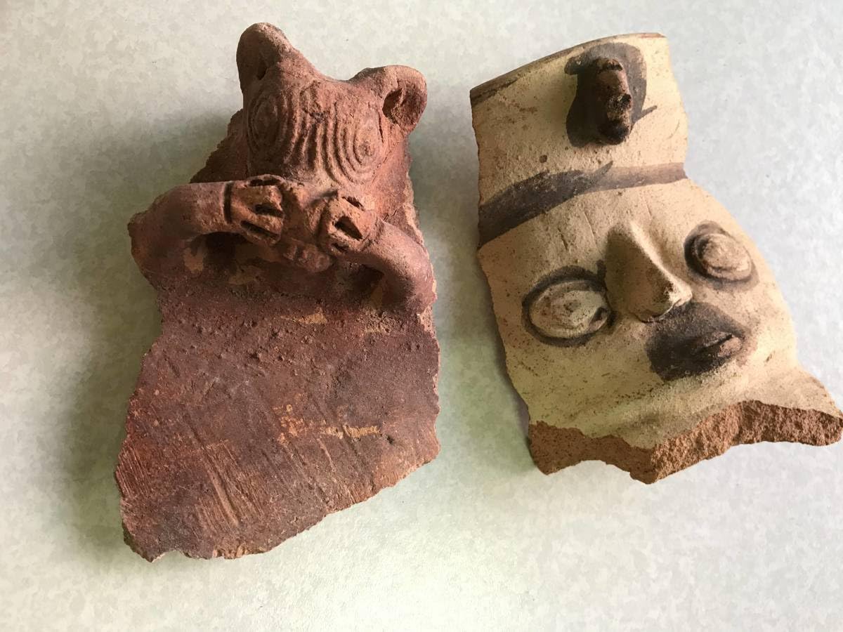 Amazon.co.jp: プレインカコレクション⑧チャンカイ土器破片2点